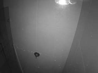 voyeurcam casa salsa bathroom 11